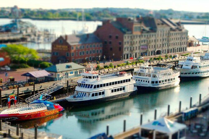 Best Of Boston: Harvard, MIT, Harbor Cruise Small Group Day Trip - Boston Harbor Cruise in summer: why it’s the best “breather”