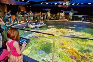 Boston CityPASS® - Museum of Science: Hands-On Energy Without the Guesswork