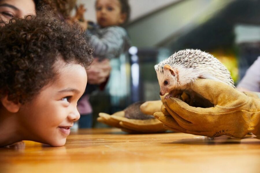Boston CityPASS®: Save up to 46% at 4 Top Attractions - Value Check: When $79 Becomes a Great Deal