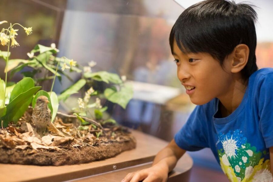 Boston CityPASS®: Save up to 46% at 4 Top Attractions - Should You Book Boston CityPASS?