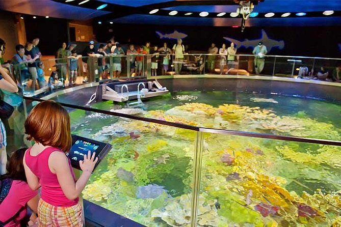 Boston CityPASS® - Museum of Science: Hands-On Energy Without the Guesswork