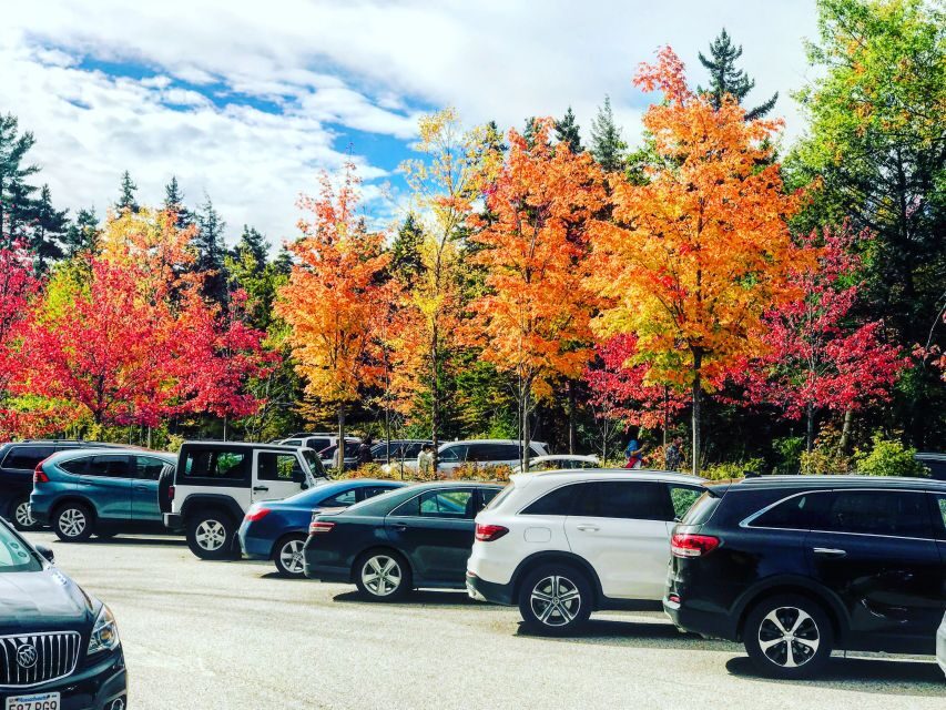 Boston: Fall Foliage Tour - Key points worth knowing before you go