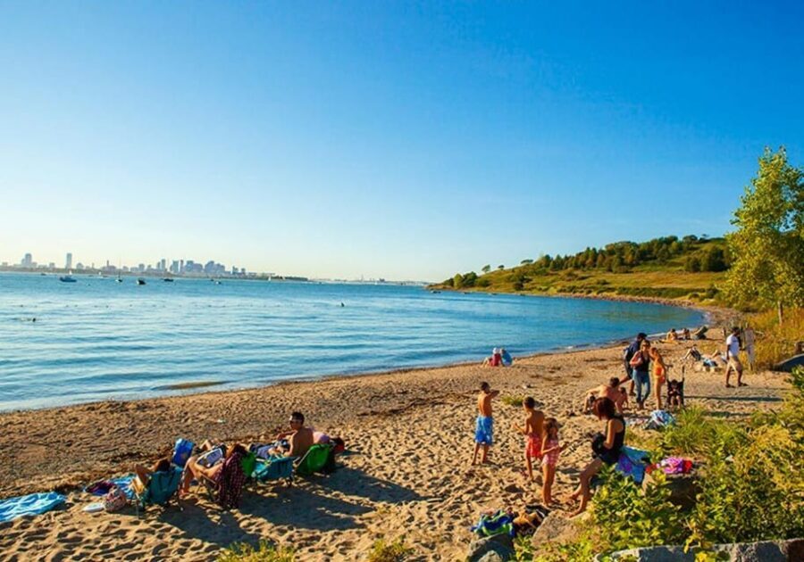 Boston Harbor Islands Ferry - Spectacle Island itinerary: harbor panoramas, beaches, and hiking trails