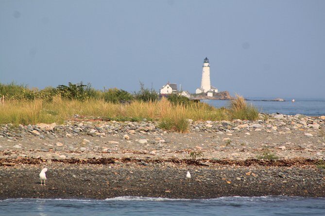 Boston Harbor Sightseeing Cruise - Photo strategy: skyline shots, ship angles, and best moments