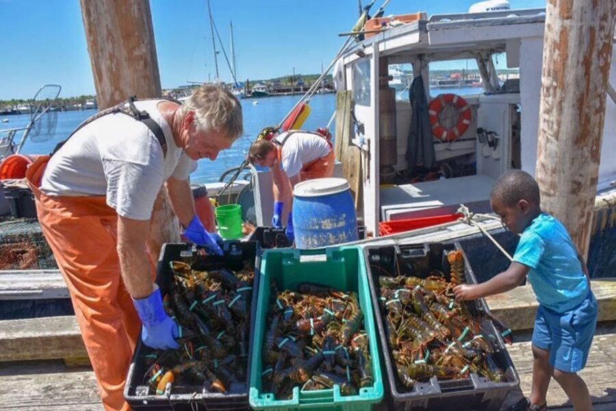 Boston: Kennebunkport Day Trip with Optional Lobster Tour - Should You Book This Boston to Kennebunkport Day Trip?