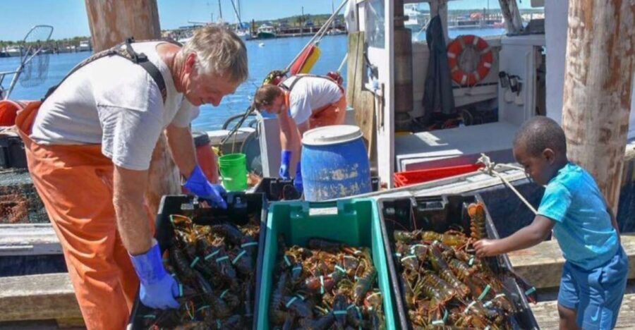 Boston: Kennebunkport Day Trip with Optional Lobster Tour - Coastal Photo Stops Along the Way: Why the Drive Is Part of the Experience
