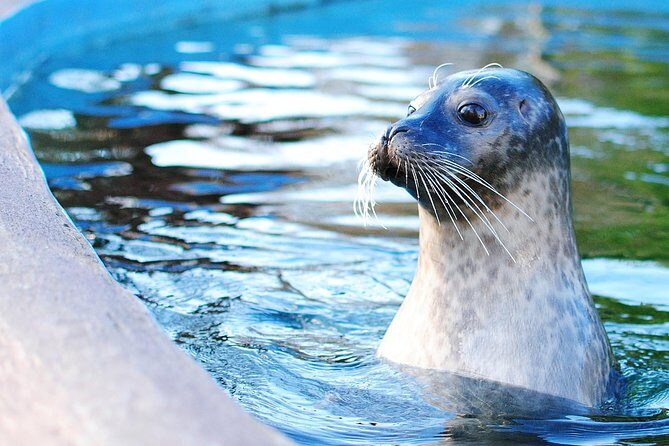 Boston Pass: 40+ Things To Do - Includes Franklin Park Zoo - Planning your days: a practical way to avoid wasting time