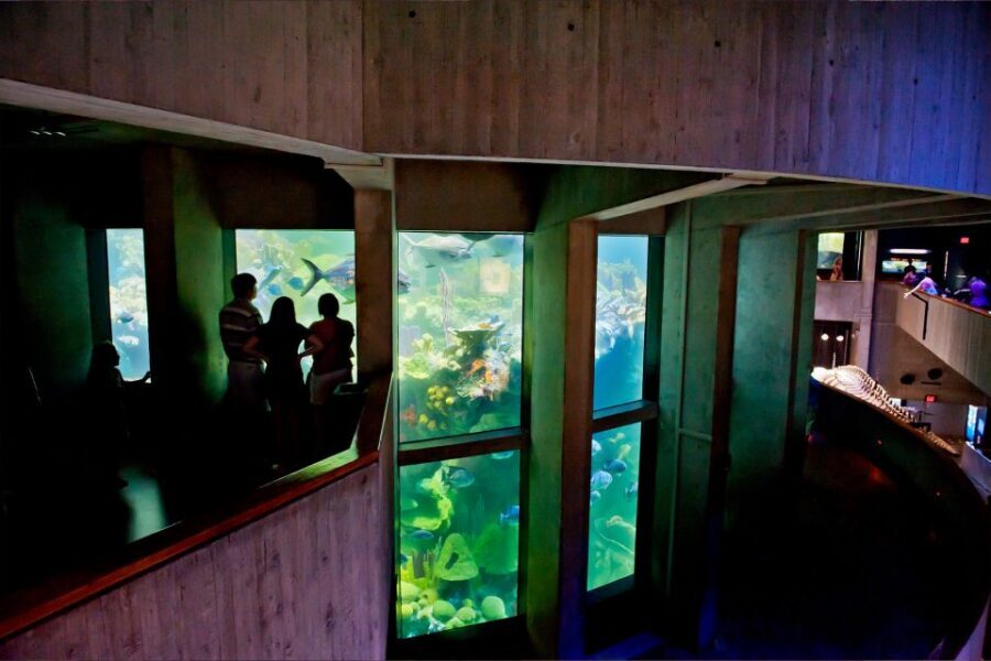 Boston Pass: Save up to 50% - Includes Franklin Park Zoo - Build your first day: View Boston + Paul Revere’s House + skyline views