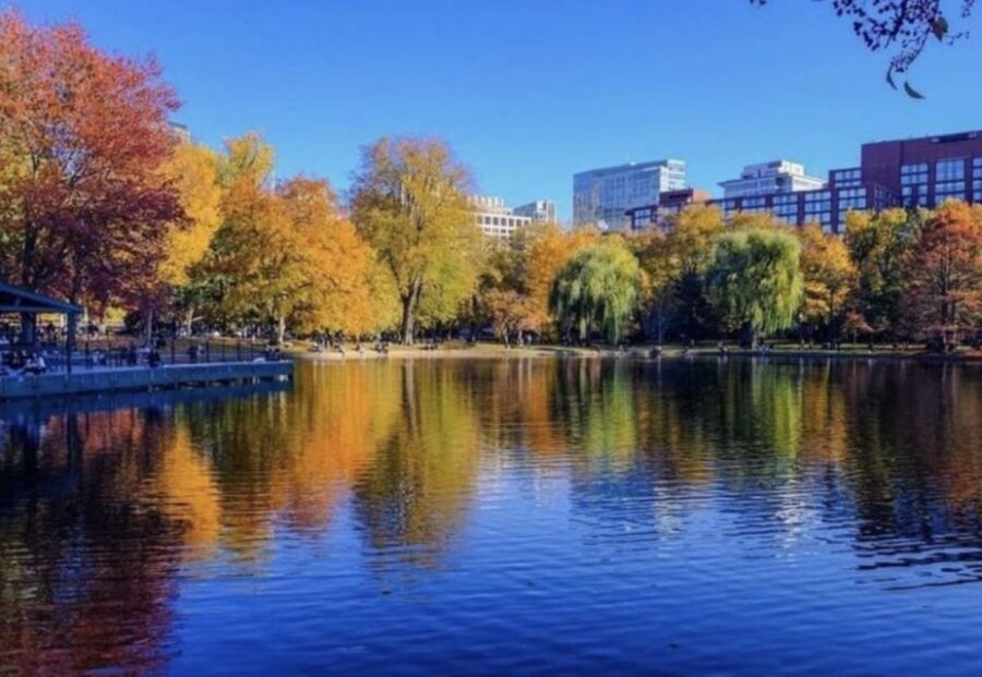 Boston Premium Driving Tour with Boat Cruise and Bunker Hill - Who this tour is perfect for