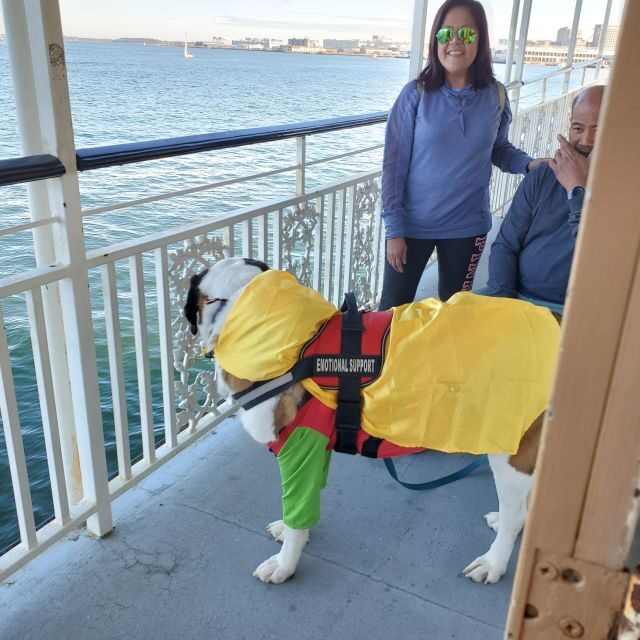 Boston: Scenic Harbor Cruise (Dog-Friendly) - North End Finish: A Handy Place to Continue Your Boston Day