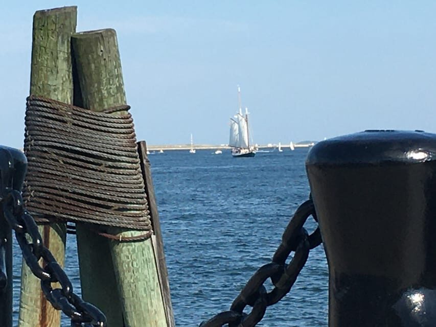 Boston: Tall Ship Harbor Sail with Weekend Brunch Option - Should you book the Boston: Tall Ship Harbor Sail?