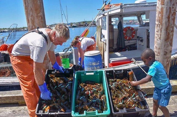 Boston to Kennebunkport with Optional Lobster Tour - Kennebunkport: Four Hours of Freedom (Plus the Lobster Boat Option)