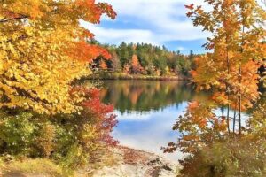 Boston to New Hampshire Fall Foliage White Mountains Day Trip - North Conway Lunch Break: Real Town Time, Not a “Cookie-Cutter” Stop