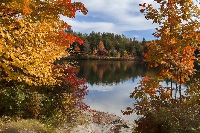 Boston to New Hampshire Fall Foliage White Mountains Day Trip - Who This Day Trip Suits Best (And Who Should Think Twice)