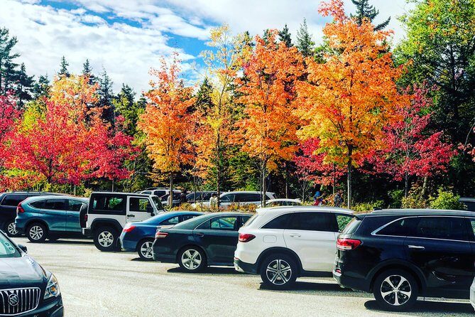 Boston to New Hampshire Fall Foliage White Mountains Day Trip - Should You Book This White Mountains Foliage Day Trip?
