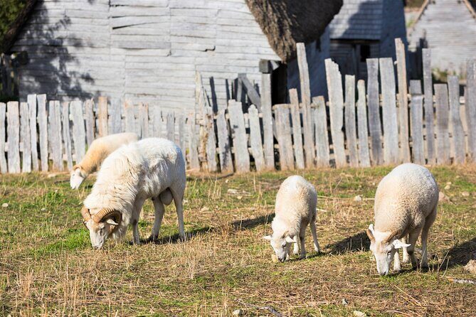 Boston to Plymouth Day-Trip including Quincy, Plimoth Patuxet and Mayflower II - National Monument to the Forefathers: why it’s a stop, not just a photo