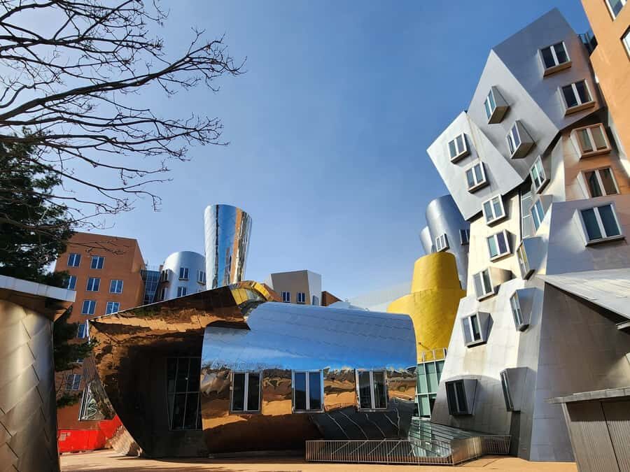 Cambridge, Massachusetts: MIT and Harvard Walking Tour - Price and logistics that actually matter for value