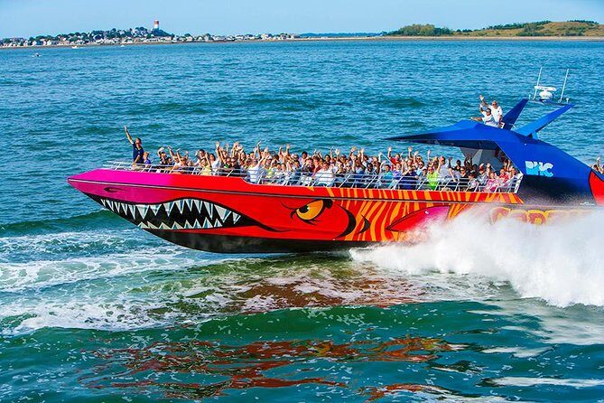 City Cruises Boston Codzilla High-Speed Thrill Boat Ride - The soak factor: what to wear, what to bring, and how to sit