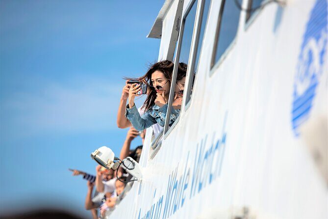 City Cruises Boston Whale Watching Cruise by High-Speed Boat - Food, drinks, and the onboard setup you’ll actually use