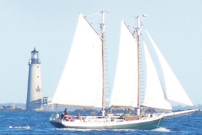 Classic Tall Ship Cruise in Boston Harbor - Deck life: comfort, safety, and how the vibe feels