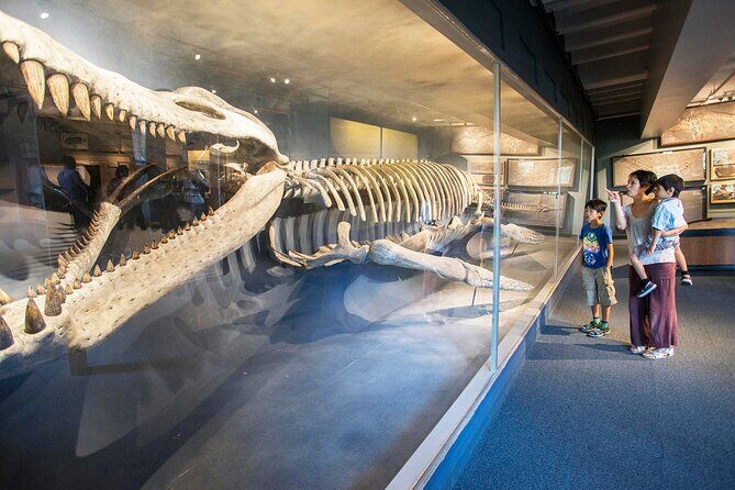 Go City: Boston Explorer Pass - Choose 2, 3, 4 or 5 Attractions - Art museums with personality: Isabella Stewart Gardner and Peabody Essex