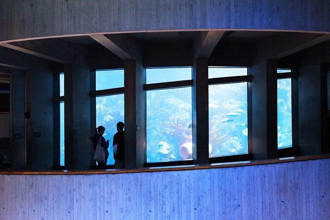 New England Aquarium Admission Ticket in Boston - Key Points You’ll Feel Right Away