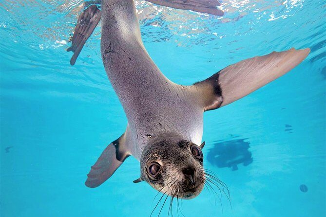 New England Aquarium Admission Ticket in Boston - Getting In Faster: Timed Entry and Mobile Ticket Reality