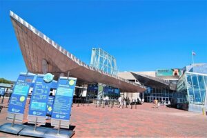 New England Aquarium Admission Ticket in Boston - First Look: Harbor Seals, Coastal Vibes, and the 42,000-Gallon Start