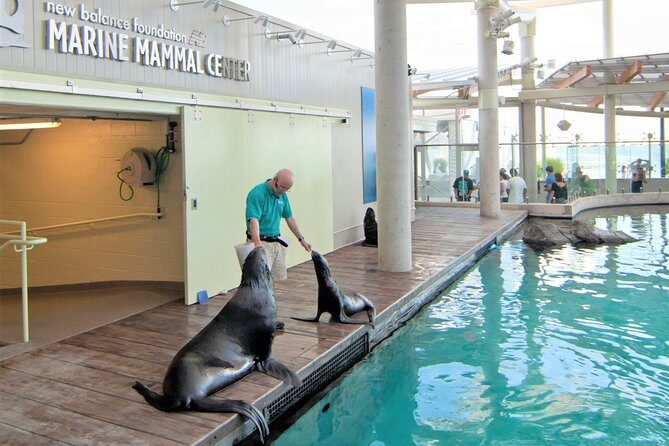 New England Aquarium Admission Ticket in Boston - The Star Exhibit: Four Stories Around the Giant Ocean Tank