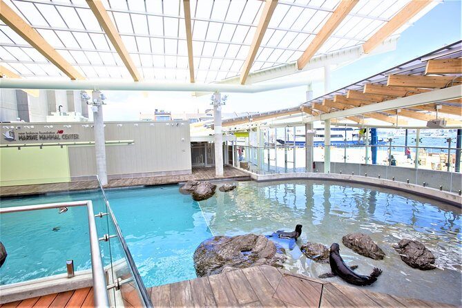 New England Aquarium Admission Ticket in Boston - Marine Mammal Center: Seals, Sea Lions, and Trainer Interactions
