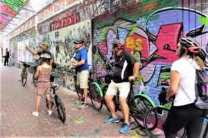 Tour de Cambridge Guided Bicycle Tour - Frank Gehry’s Stata Center and the Quick Hit Stops