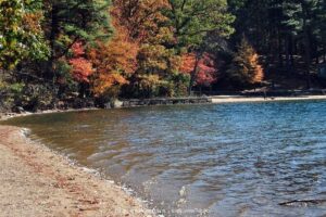 Visit Historic Concord on a Private Day Trip from Boston - The 10:00 am start in Boston and how the day moves
